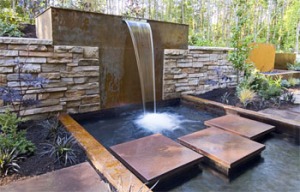 TOSHIBA - Water Feature 1 (2)